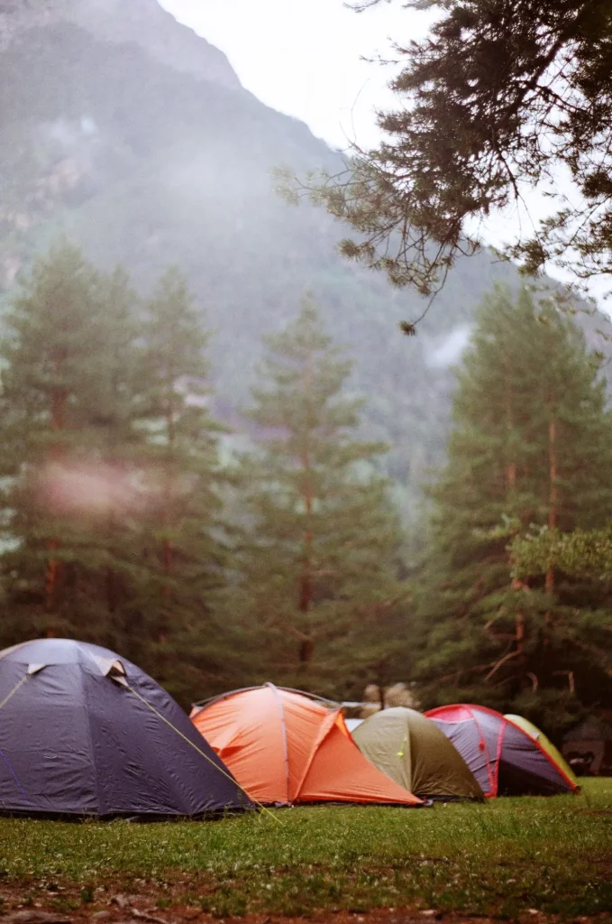 Illustrative row of tents at a mountain campsite beneath tall trees